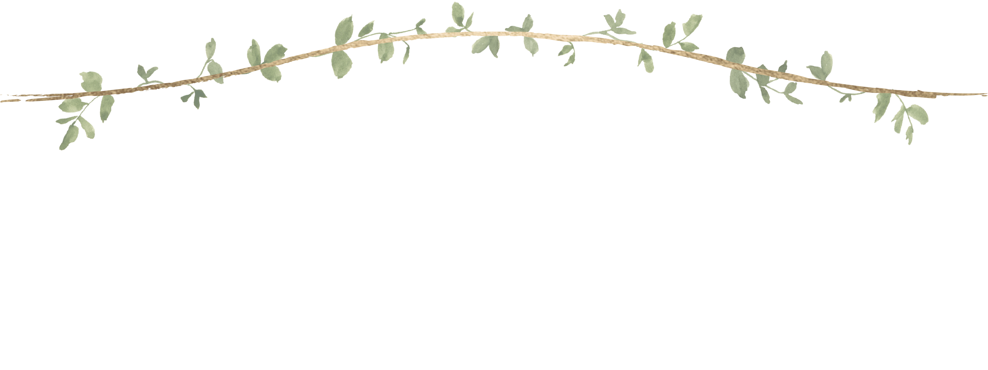 divider